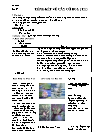 Giáo án môn Sinh học 6 - Tuần 24 - Tiết 45: Tổng kết về cây có hoa